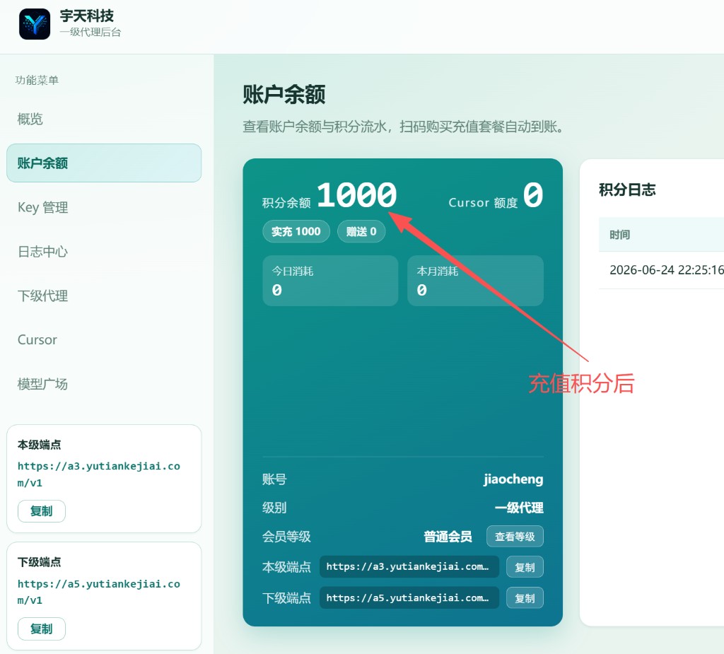 步骤1 充值积分后的账户余额